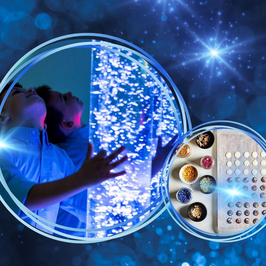 Festive Family Fun at the ISLAND