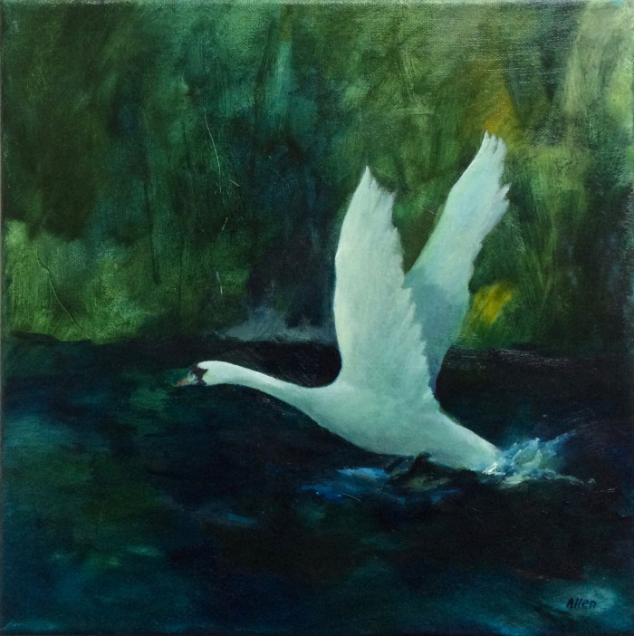 Painting of a white swan about to take flight from a river.  The swan's wings are spread for flight.  The water is a dark black / blue colour and there are various hues of greens representing the foilage and reeds on the river bank.
