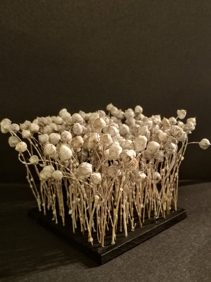 Square base with upright bristles to represent flax flowers.  Creams buds with sticks attached to a square base.