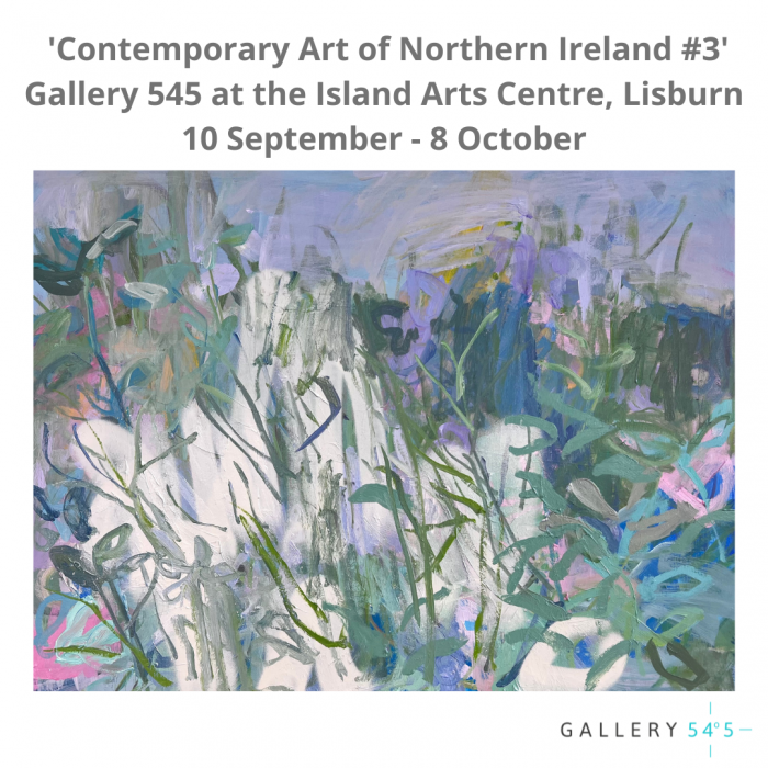 G545_Contemporary_Art_of_NI_3.png