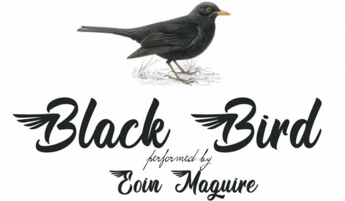 ISLANd_Music___Blackbird_by_Eoin_Maguire_0-6_screenshot_copy.png