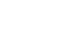 ISLAND Resident Artists & Arts Organisations