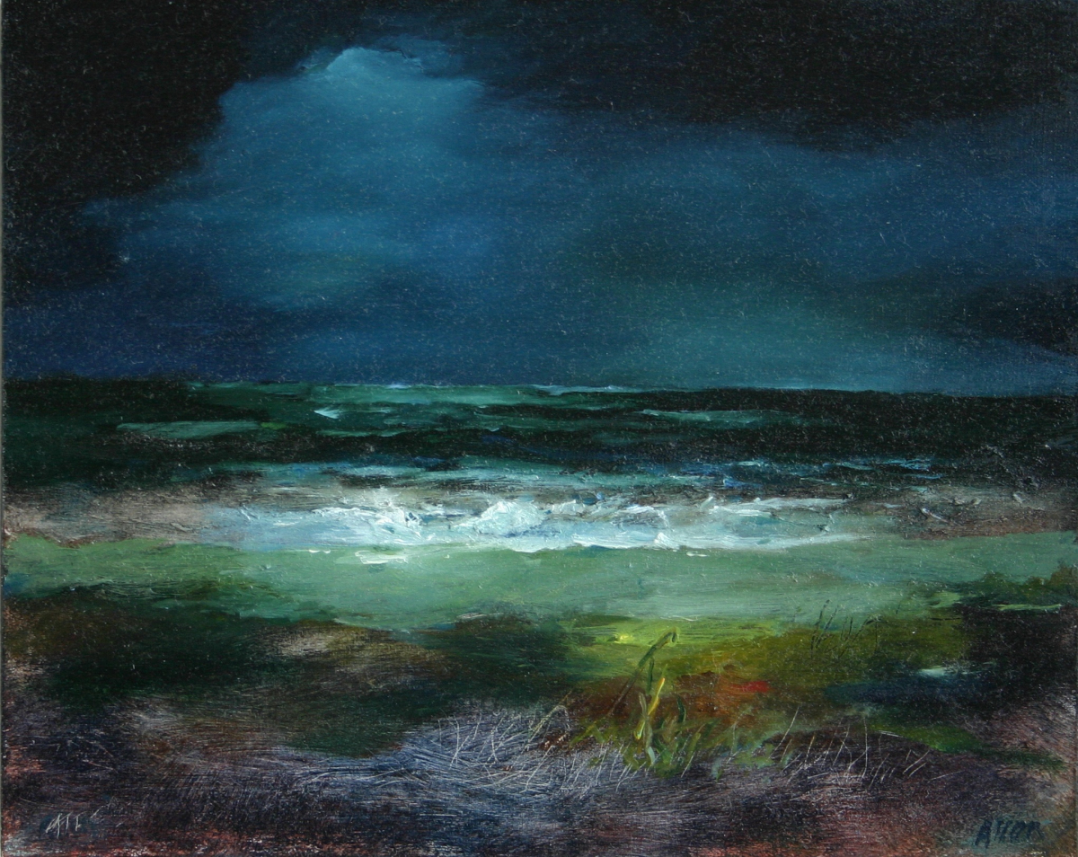 Image of a shoreline at night. Dark navy blue sky and turquoise sea.  in the foreground are the grasses and reeds from the dunes leading to the beach at night.